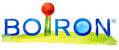 ARNICA 7CH GR 4G